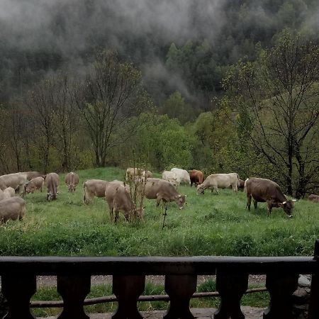 Can Serraima, Casa rural en ple Pirineu Neva Exterior foto
